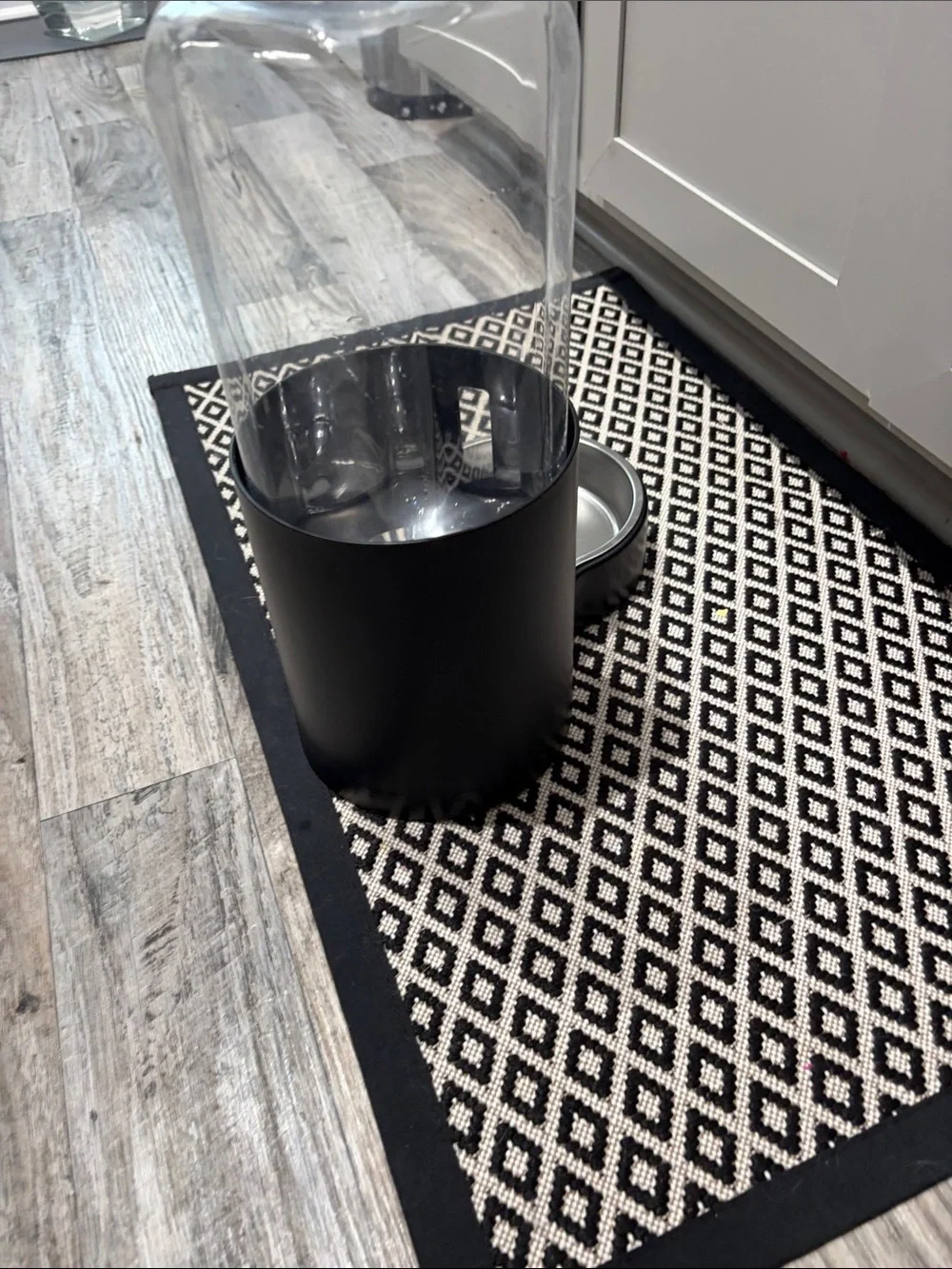 Automatic Gravity Pet water dispenser in Clear and Black
